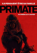 Primate